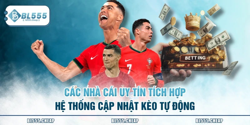 Các nhà cái uy tín ích hợp hệ thống cập nhật kèo tự động