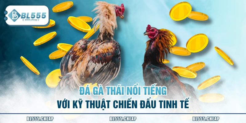 Đá gà Thái nổi tiếng với kỹ thuật chiến đấu tinh tế