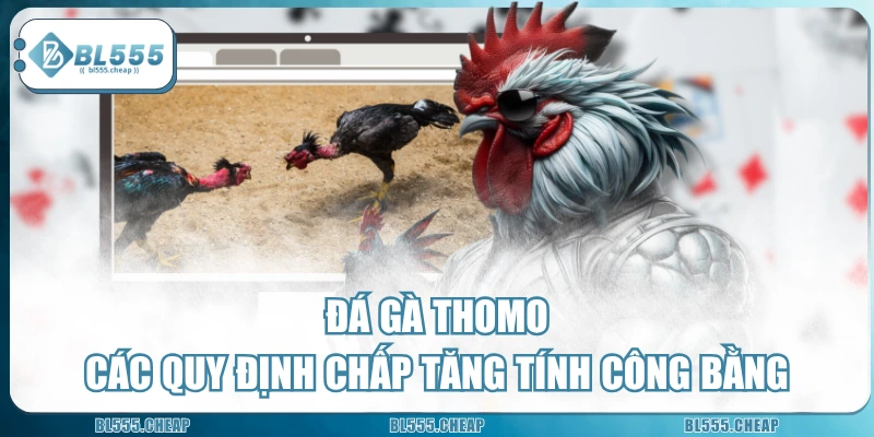 Đá Gà Thomo | Các Quy Định Chấp Tăng Tính Công Bằng