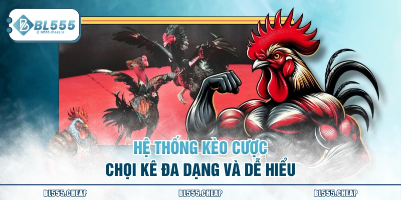 Hệ thống kèo cược chọi kê đa dạng và dễ hiểu
