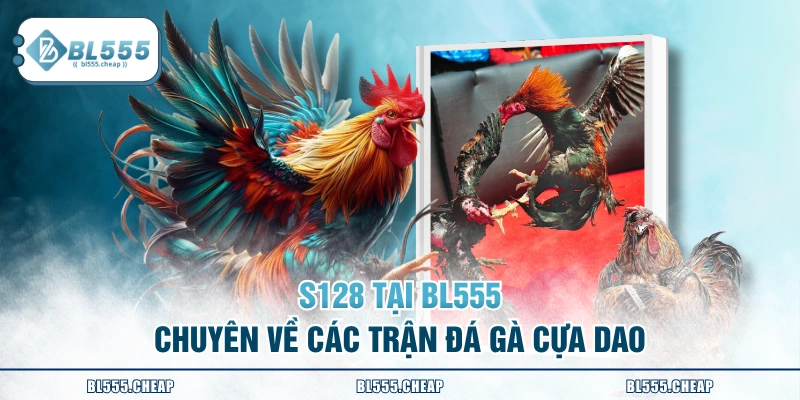S128 tại BL555 chuyên về các trận đá gà cựa dao